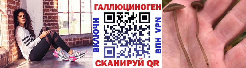 Галлюциногенные грибы Magic Shrooms  цена наркотик  Ардатов 