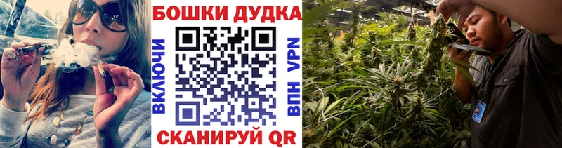 купить наркоту  Ардатов  Конопля AK-47 